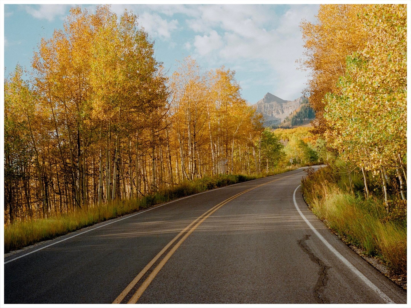 A winding road is surrounded by trees with autumn foliage and a mountain in the distance under a cloudy sky.