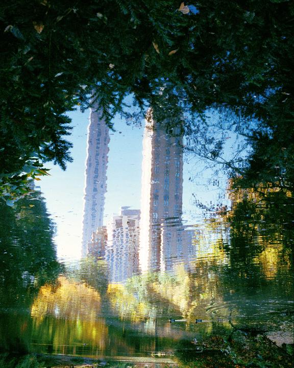 Tall buildings and trees are reflected in the rippling water of a pond, framed by dark foliage.