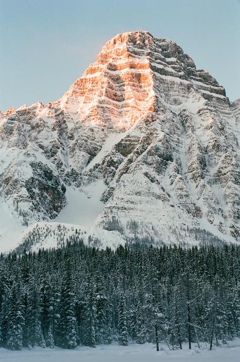 A snow-covered mountain peak is illuminated by the golden hour sun above a dense forest of pine trees.