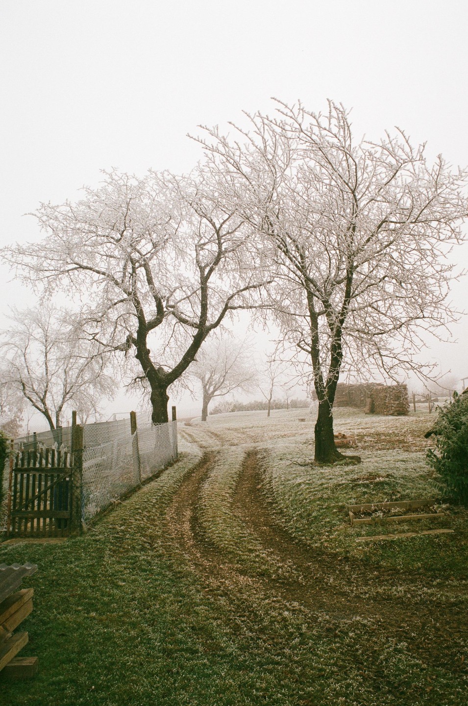 A dirt path winds through a frosty, grassy field with bare trees covered in ice and a wooden gate on the left.