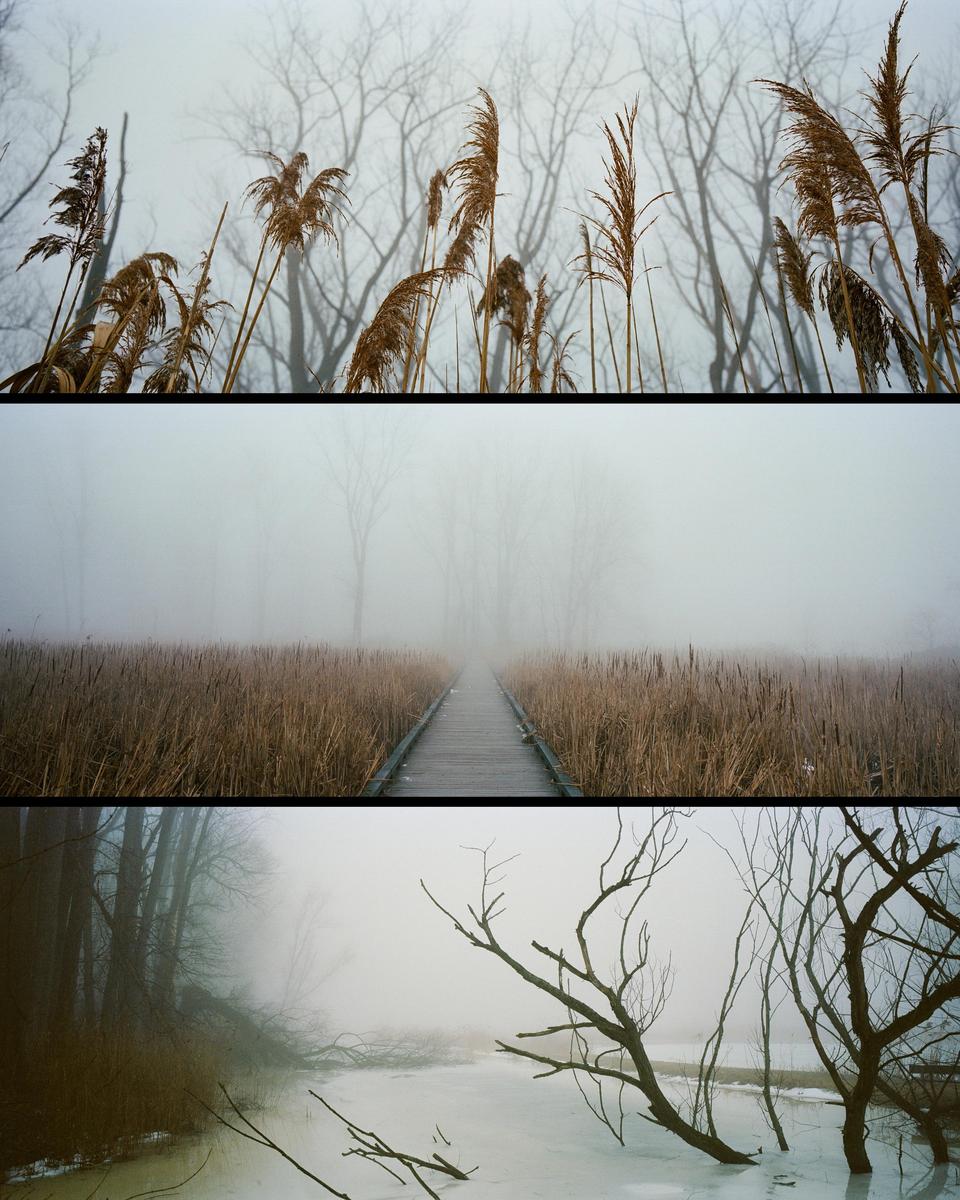 Three horizontal panels show a foggy landscape with tall grass, a boardwalk, bare trees, and a frozen body of water.
