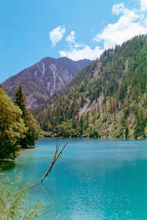 A turquoise lake is surrounded by mountains covered in dense forest under a bright blue sky with scattered clouds.
