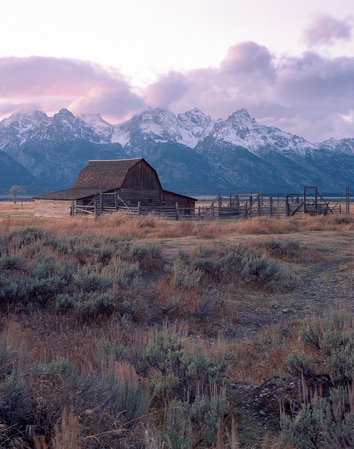 A wooden barn stands in a field with snow-capped mountains and a cloudy sky in the background.
