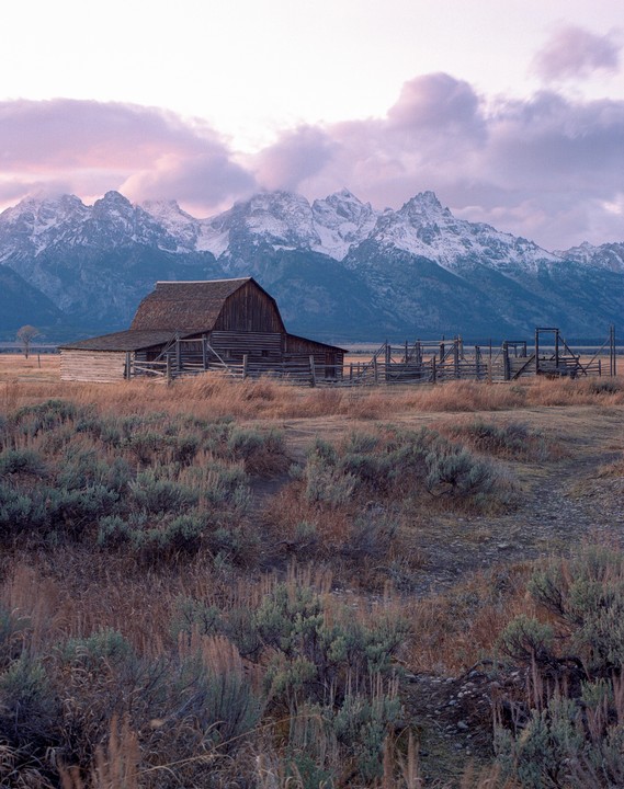 A wooden barn stands in a field with snow-capped mountains and a cloudy sky in the background.