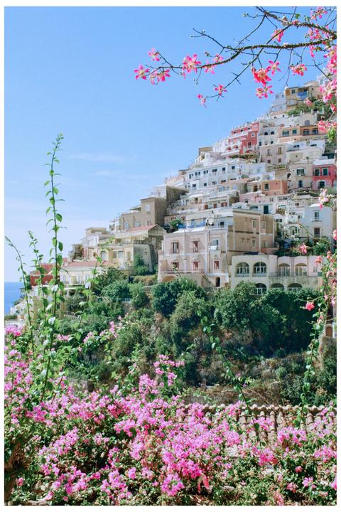 A hillside town with many buildings is covered in pink flowers and green foliage under a clear blue sky.
