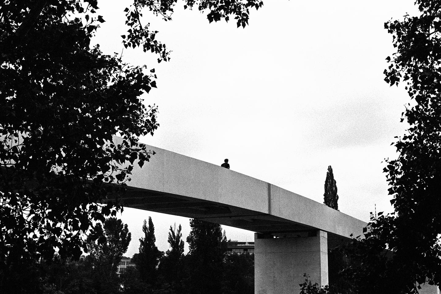 A person stands on a concrete bridge framed by dark tree foliage.