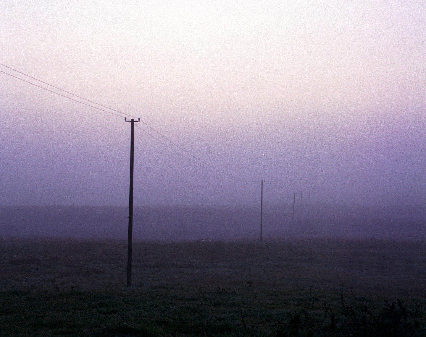 A row of utility poles with wires stretches across a hazy, purple-hued field.