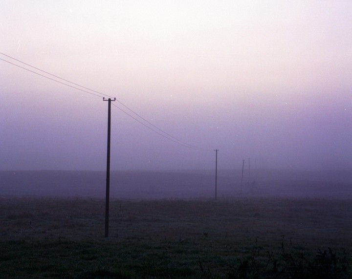 A row of utility poles with wires stretches across a hazy, purple-hued field.