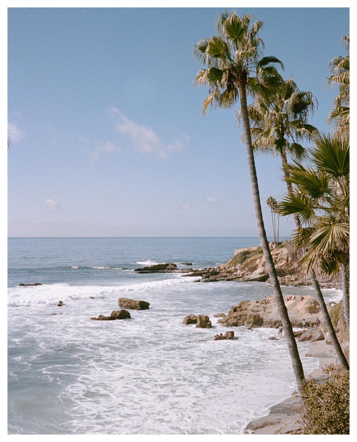 Palm trees frame a rocky beach with waves crashing on the shore.