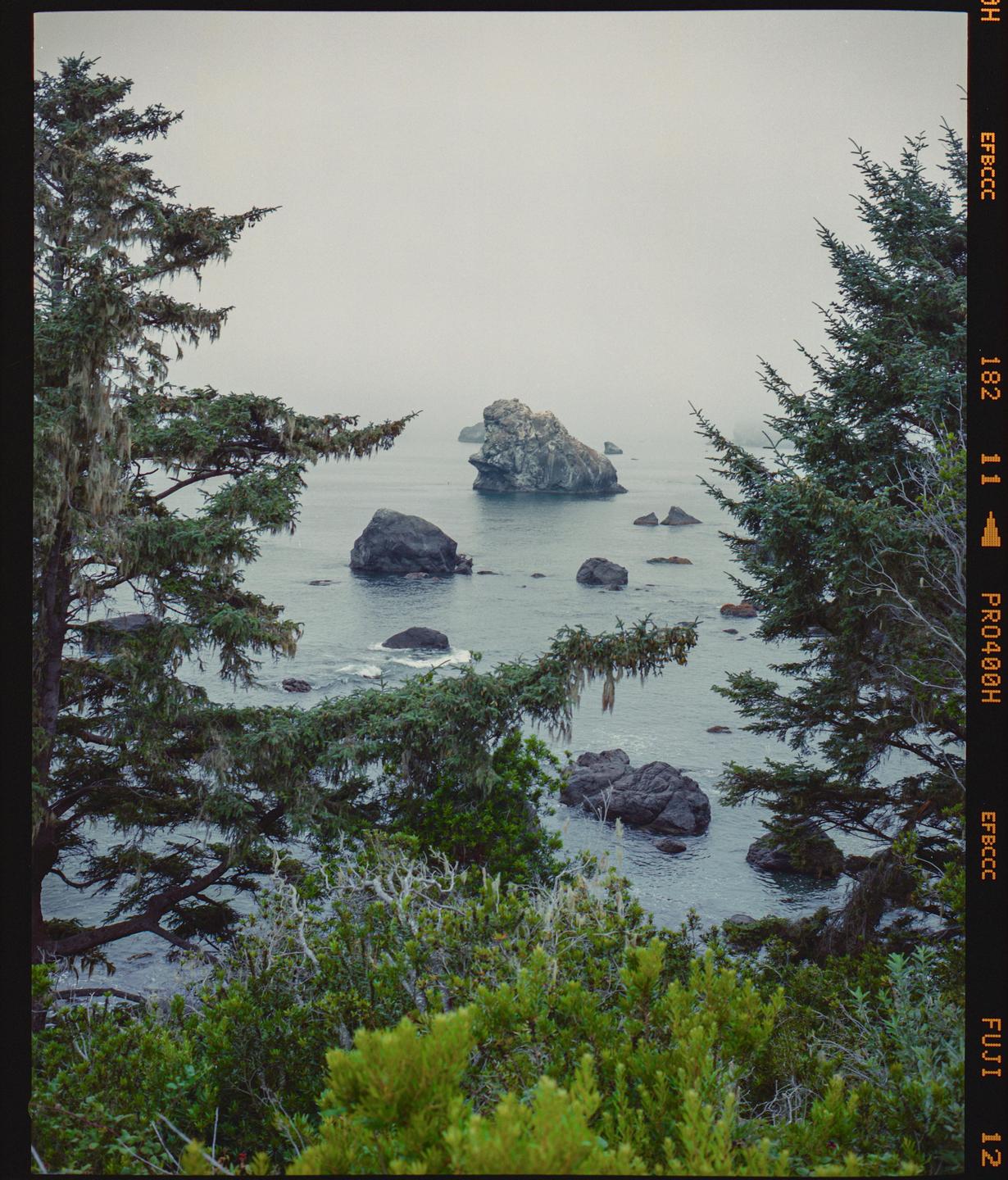 A body of water with several large rocks is framed by two trees and bushes.