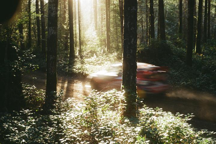 A red rally car speeds through a sun-dappled forest on a dirt road.