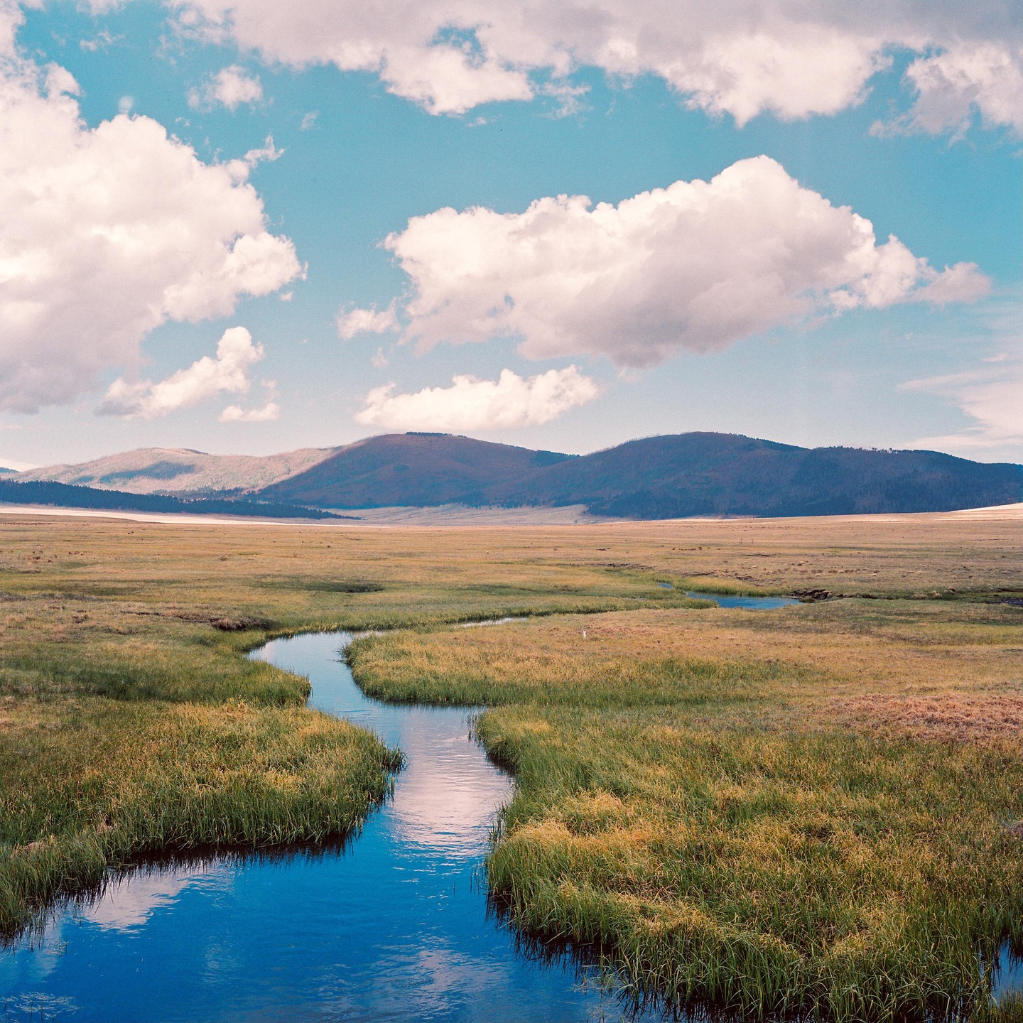 A winding river flows through a grassy plain with mountains in the background under a cloudy sky.