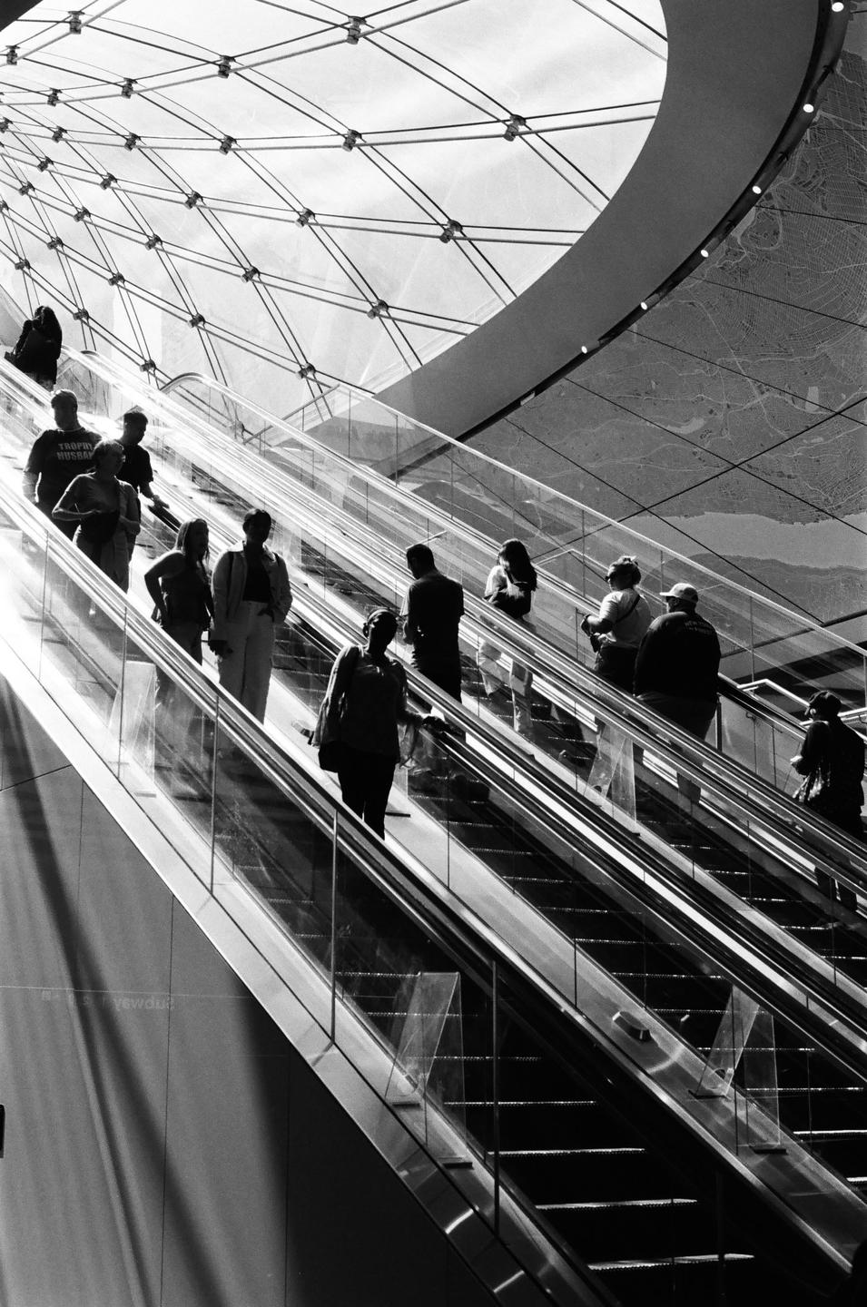People ride escalators under a glass ceiling with a grid pattern.