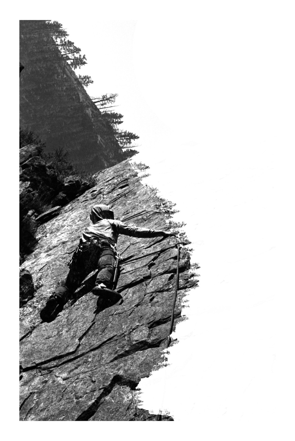 A person climbs a rock face with trees visible at the top of the cliff.