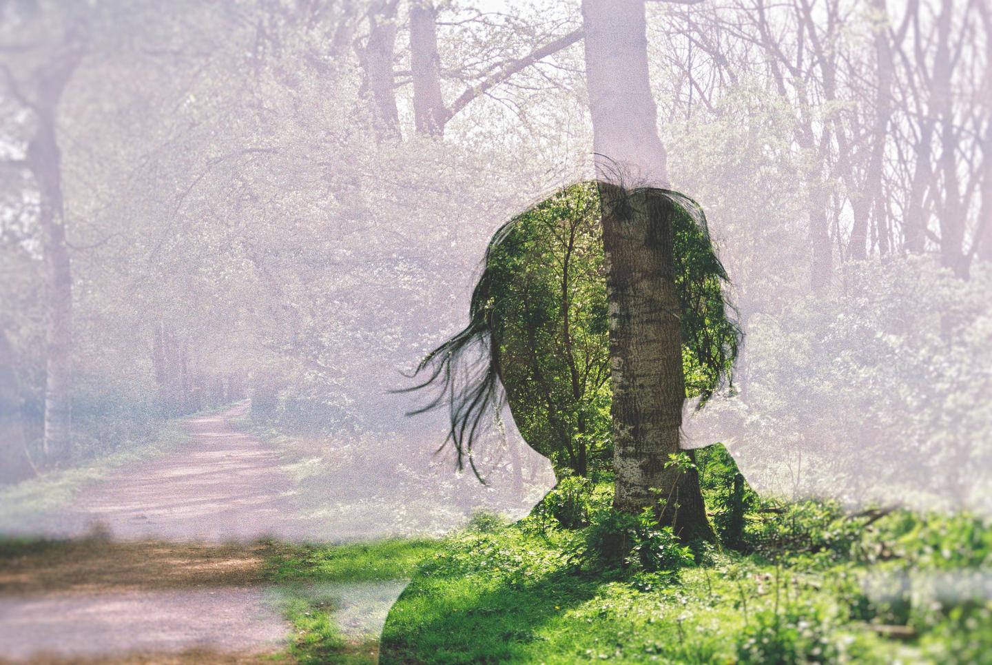 A double exposure shows a woman's silhouette filled with a forest scene, superimposed over a hazy forest path.