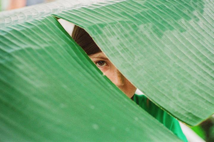 A child's eye peeks out from behind two large green leaves.