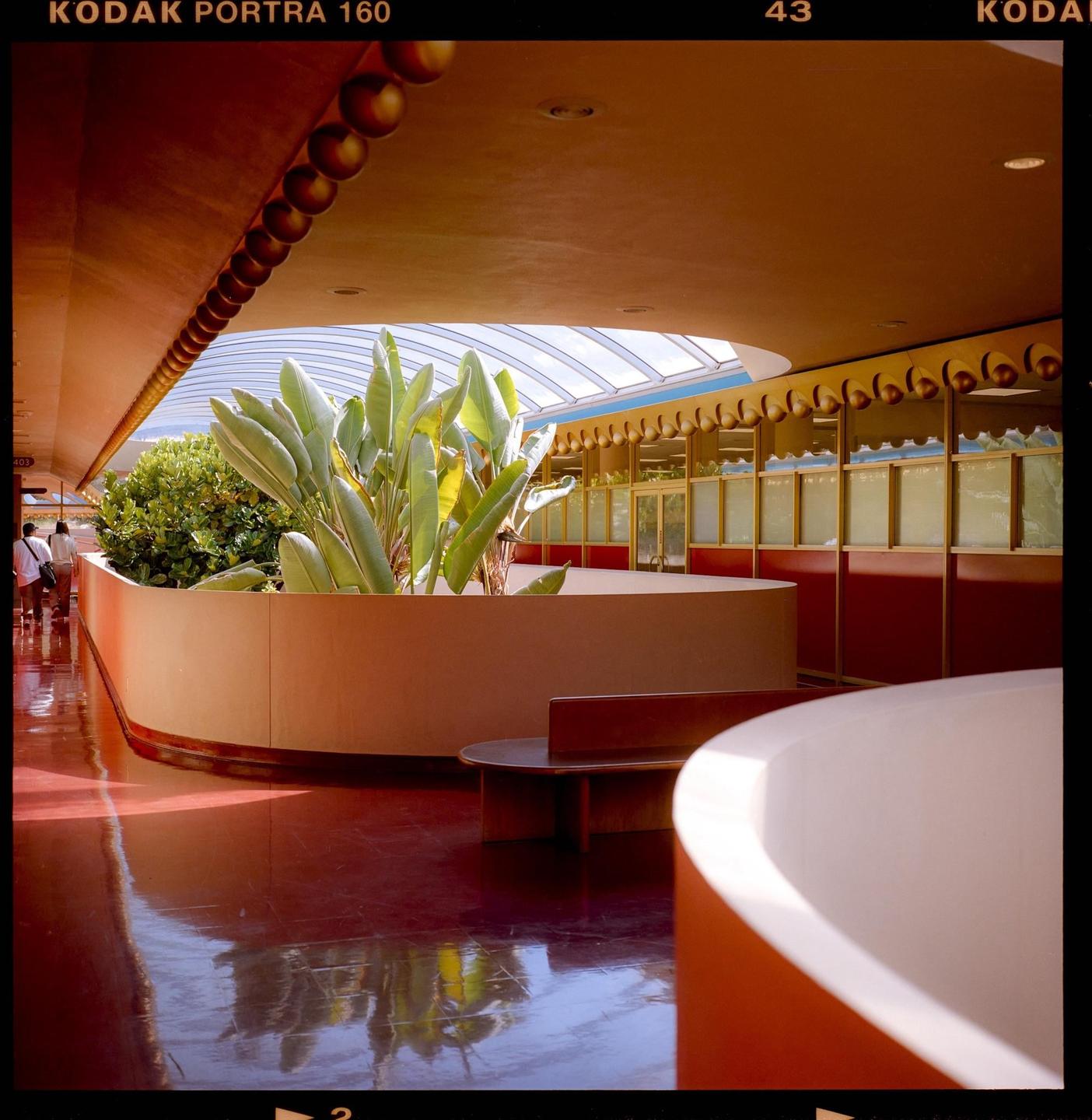 A long, curved hallway with a red floor and a large planter filled with green plants is illuminated by natural light from a skylight.