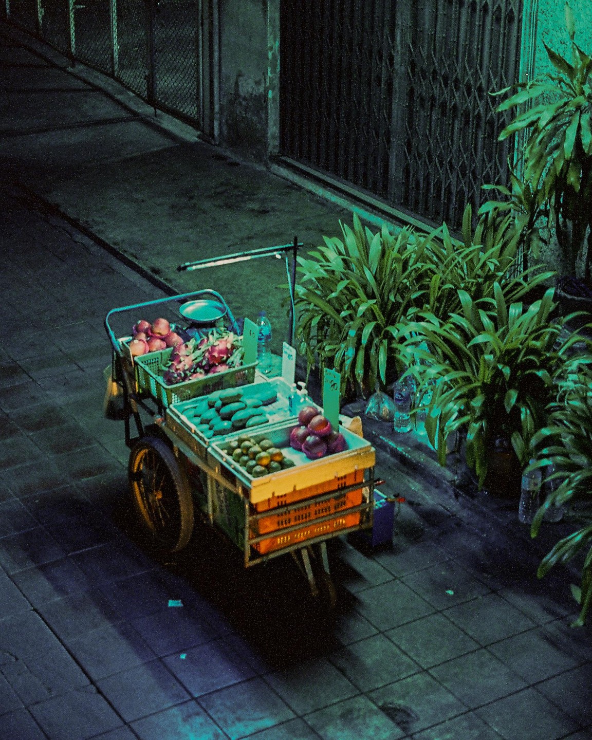 A fruit cart filled with various fruits and vegetables is parked on a sidewalk next to potted plants at night.