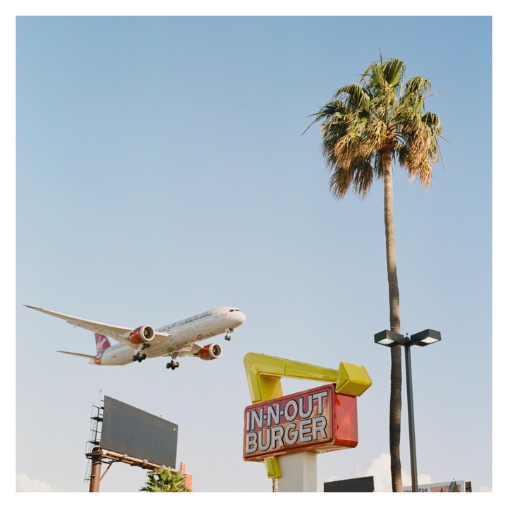 An airplane flies low over an In-N-Out Burger sign and a palm tree.