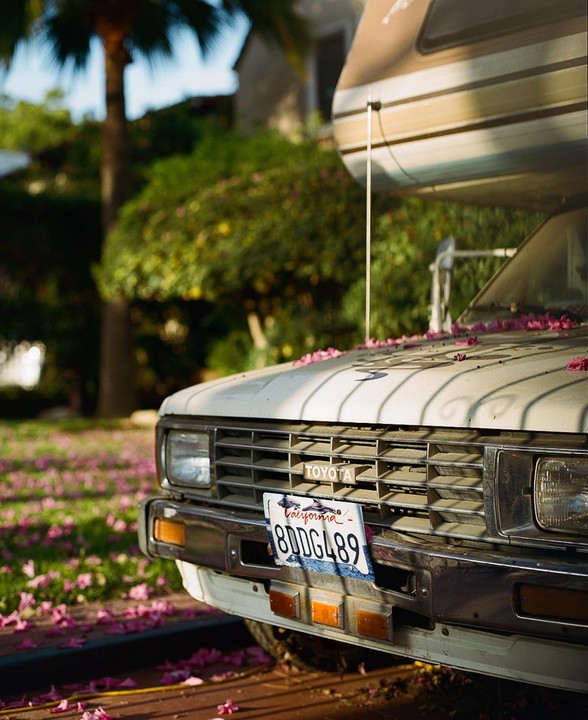 The front of a white Toyota camper is covered in pink petals, with a California license plate visible.