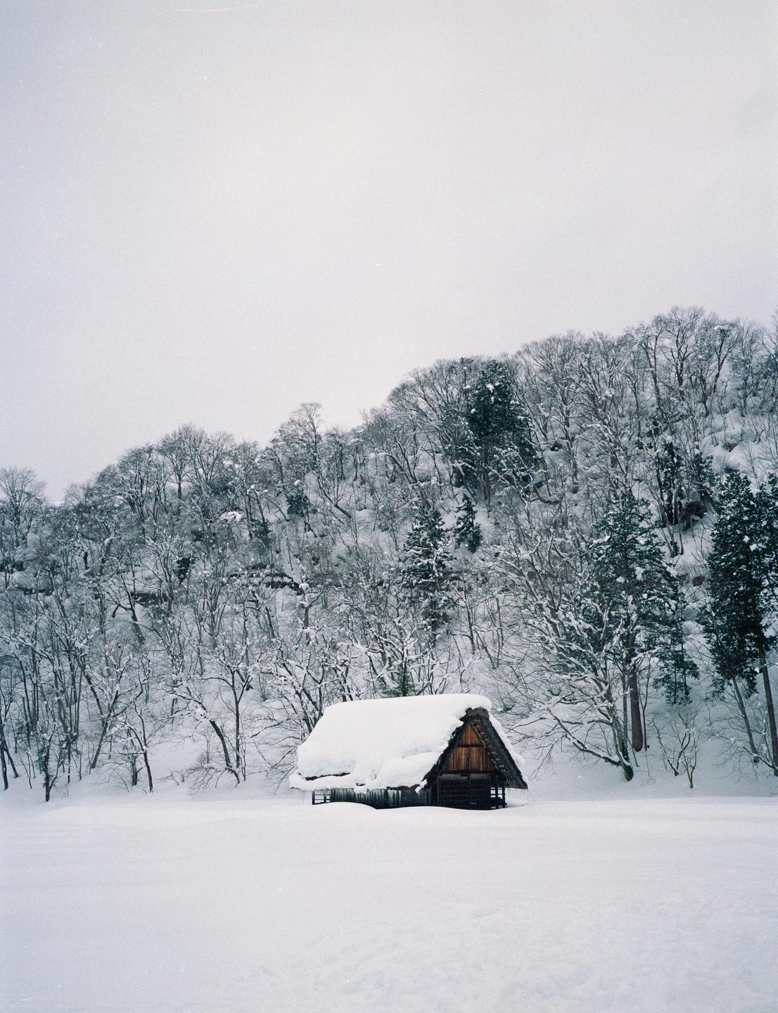 A small wooden house with a snow-covered roof sits in a field of snow with a forest in the background.