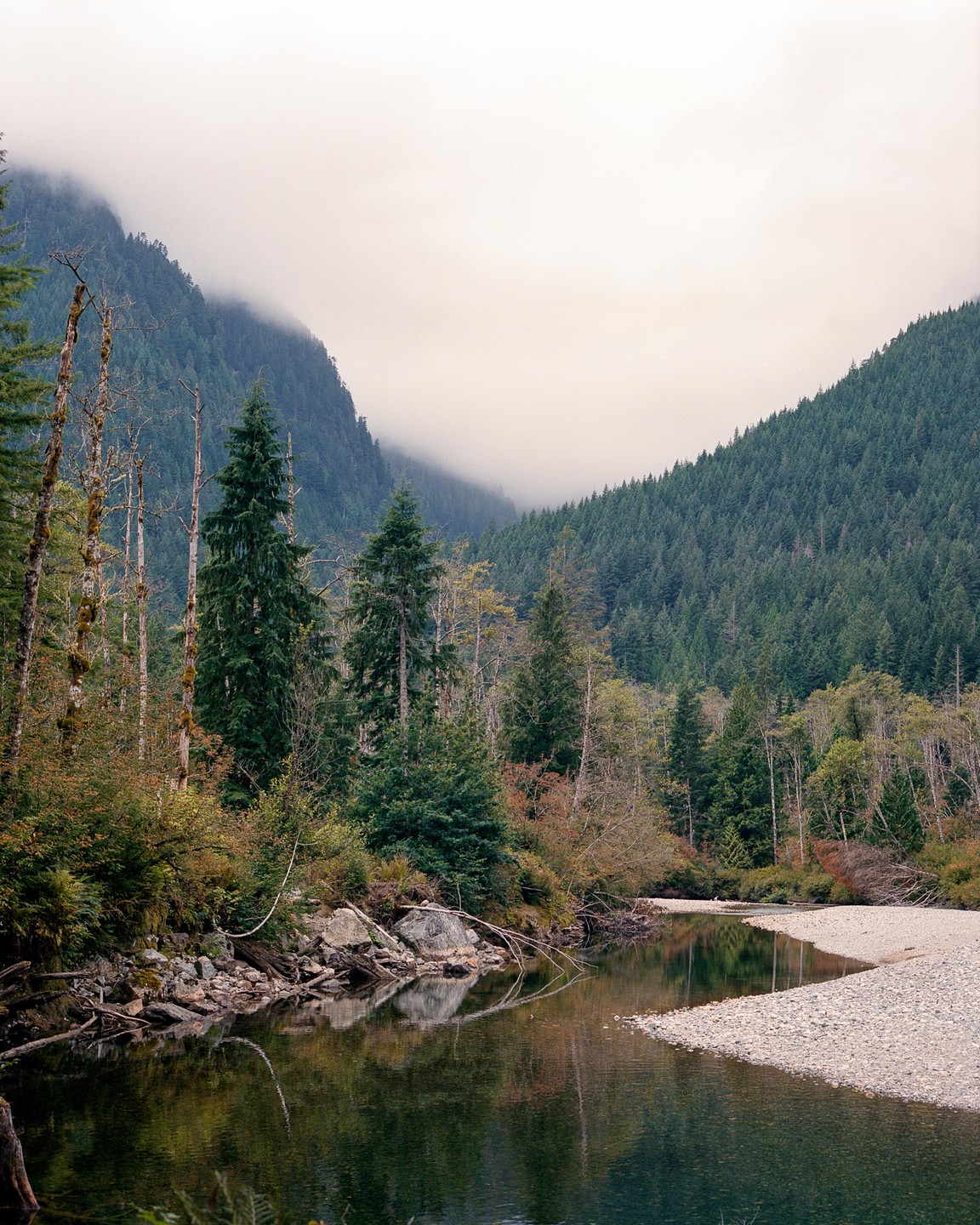 A river flows through a forest with mountains in the background partially obscured by mist.