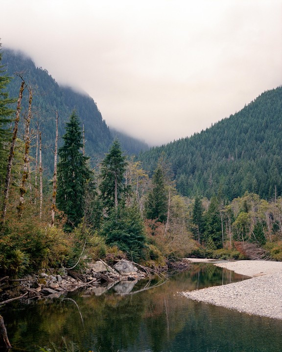 A river flows through a forest with mountains in the background partially obscured by mist.