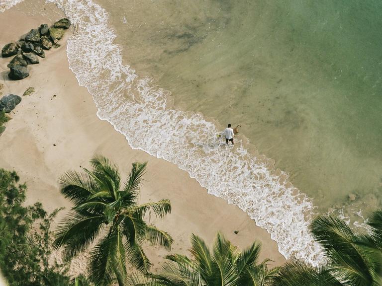 A man stands in the shallow water of a sandy beach with palm trees in the foreground.
