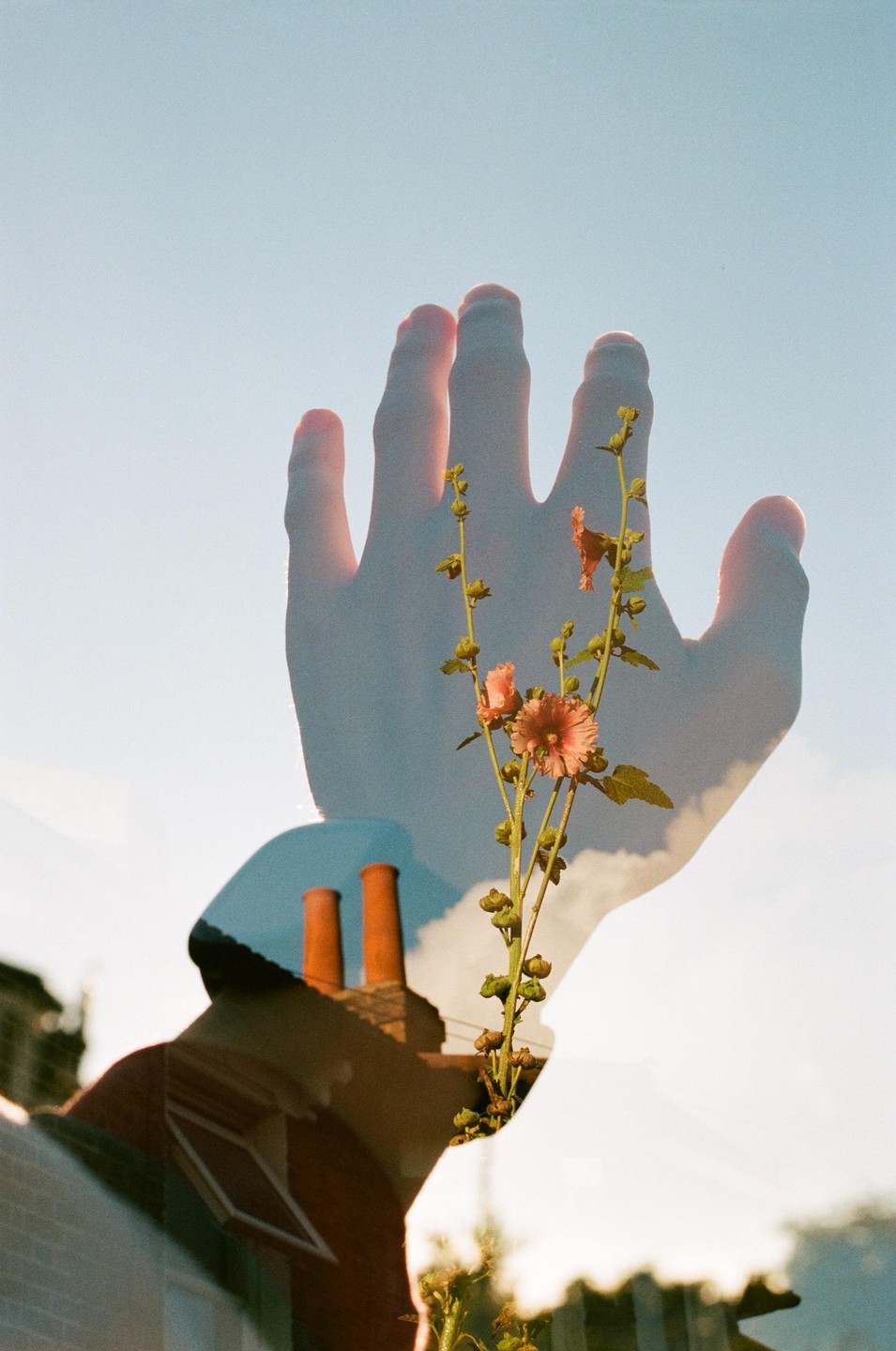 A double exposure shows a hand and a flowering plant superimposed over a building with two chimneys against a blue sky.
