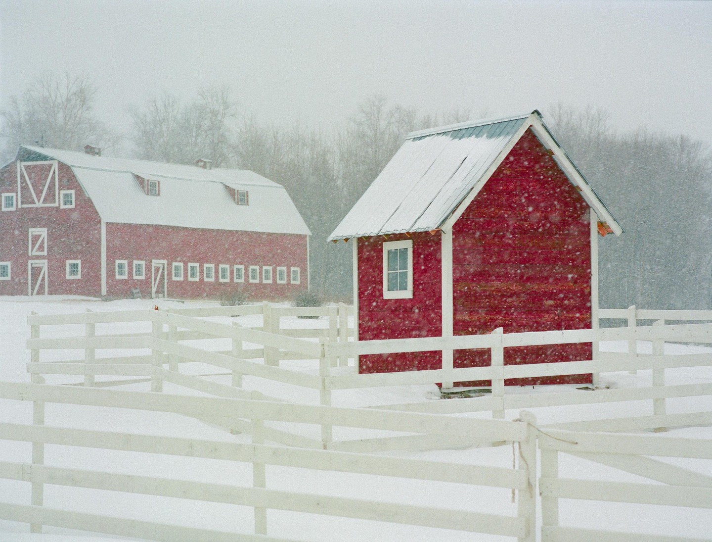 A red barn and a small red shed are surrounded by a white fence in a snowy landscape.