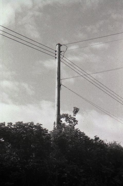 A utility pole with multiple wires stands against a cloudy sky, with dense foliage in the foreground.