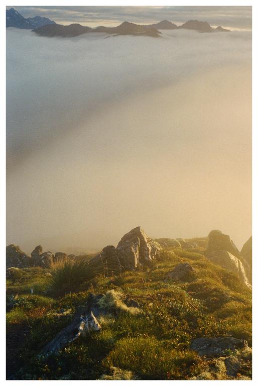 A rocky, grassy hillside overlooks a valley filled with fog, with mountain peaks visible in the distance.