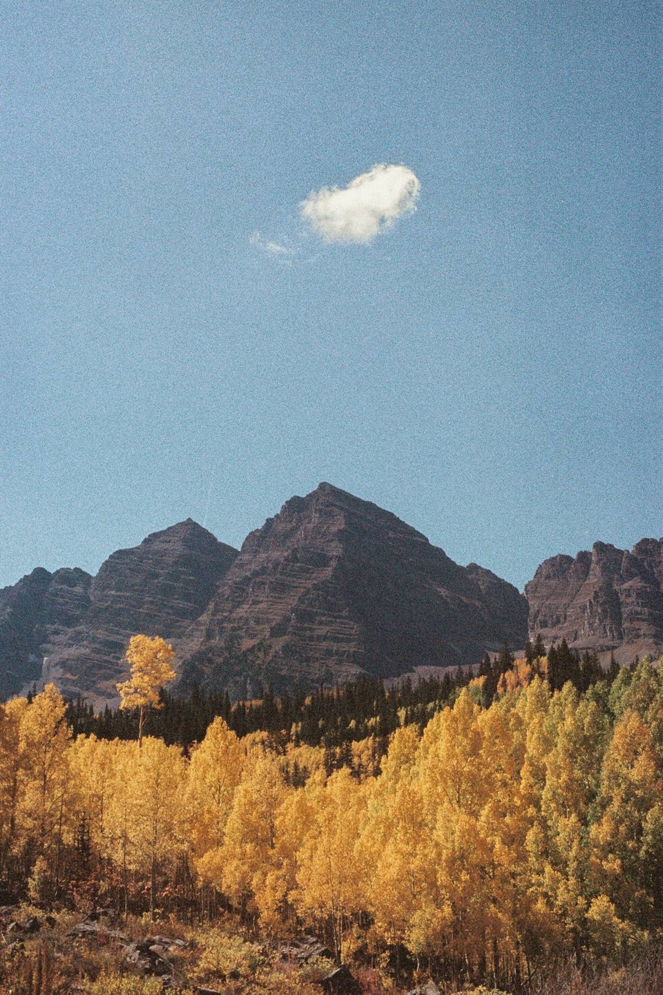 A single cloud floats above mountains and a forest of golden trees.
