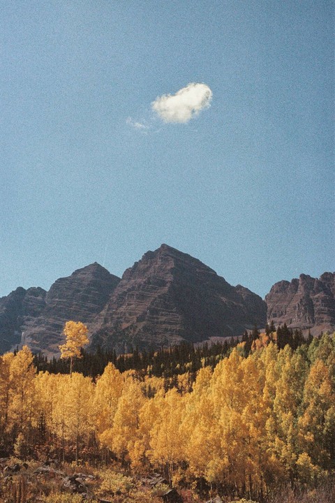 A single cloud floats above mountains and a forest of golden trees.