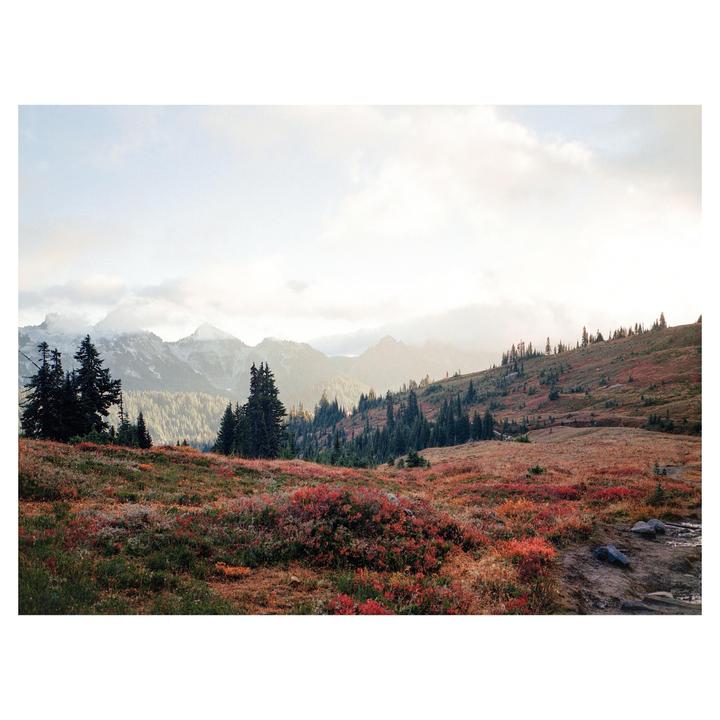 A vast landscape shows a valley with evergreen trees and red and orange foliage, with mountains in the background under a cloudy sky.