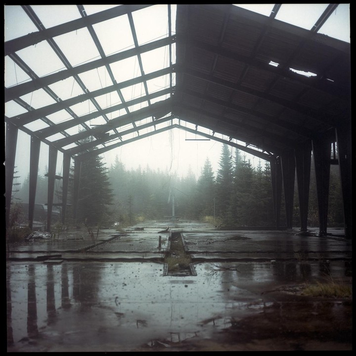 An abandoned building with a partially collapsed roof stands in a foggy forest.