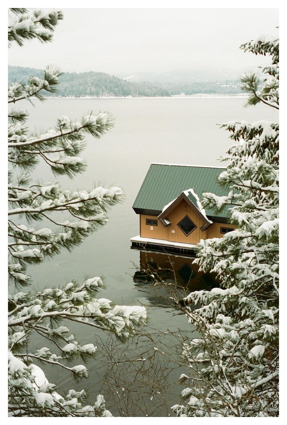 A small house with a green roof floats on a body of water, surrounded by snow-covered pine trees.