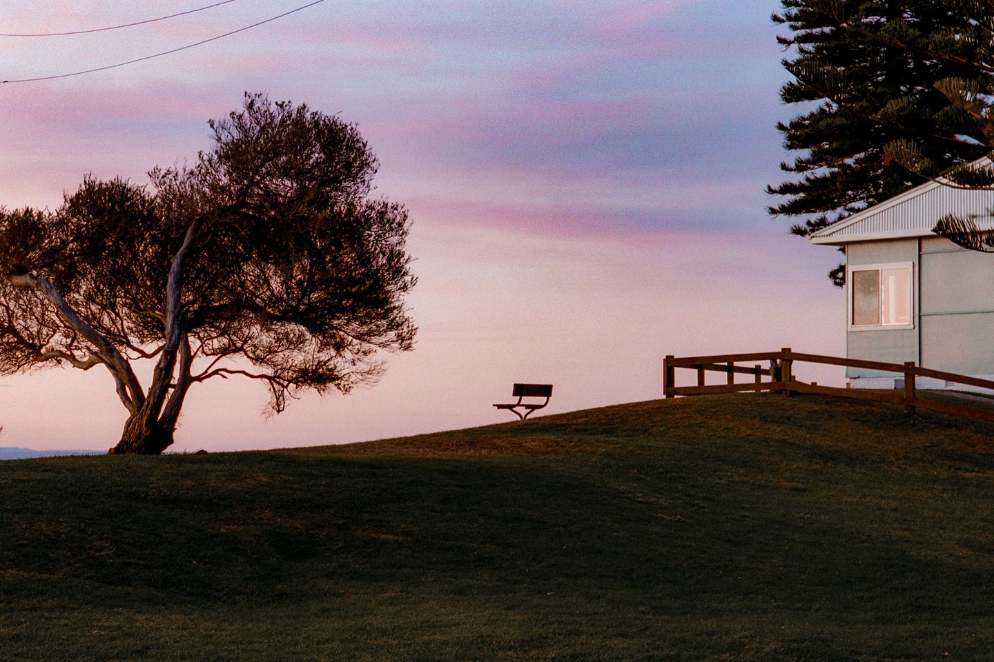 A solitary bench sits on a grassy hill between a large tree and a small house with a fence, under a pink and purple sky.