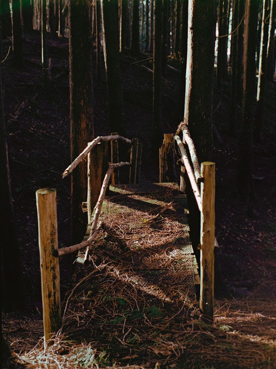 A wooden bridge with branch railings crosses a dark forest.