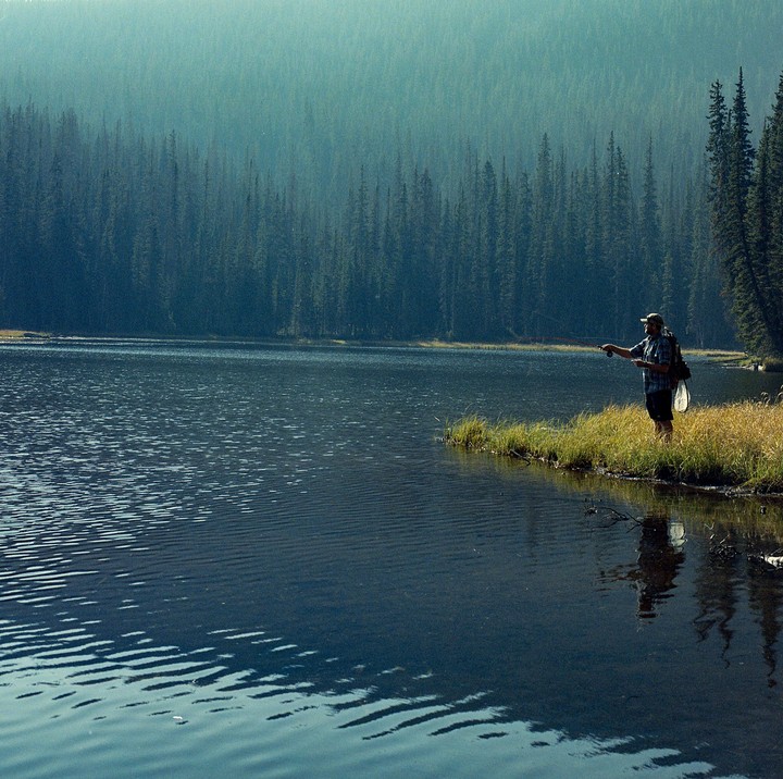 A man stands on a grassy bank next to a lake, fly fishing with a dense forest in the background.