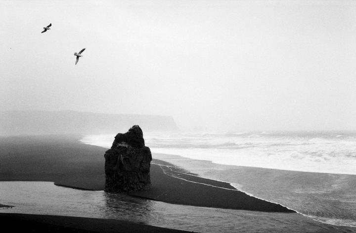 Two birds fly above a sea stack on a black sand beach with waves crashing on the shore.