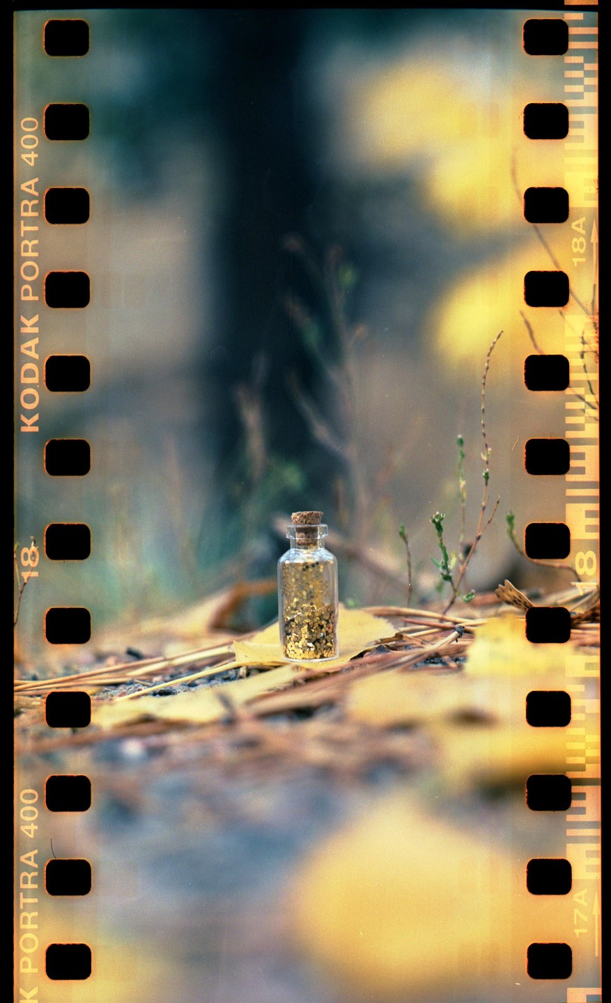 A small glass bottle filled with gold glitter and topped with a cork stopper sits on a bed of dried leaves and pine needles.