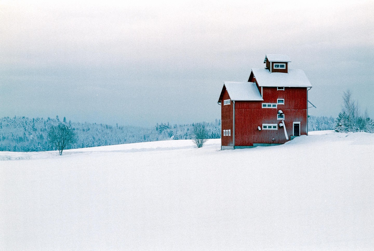 A red barn stands in a snow-covered field with a forest in the background.