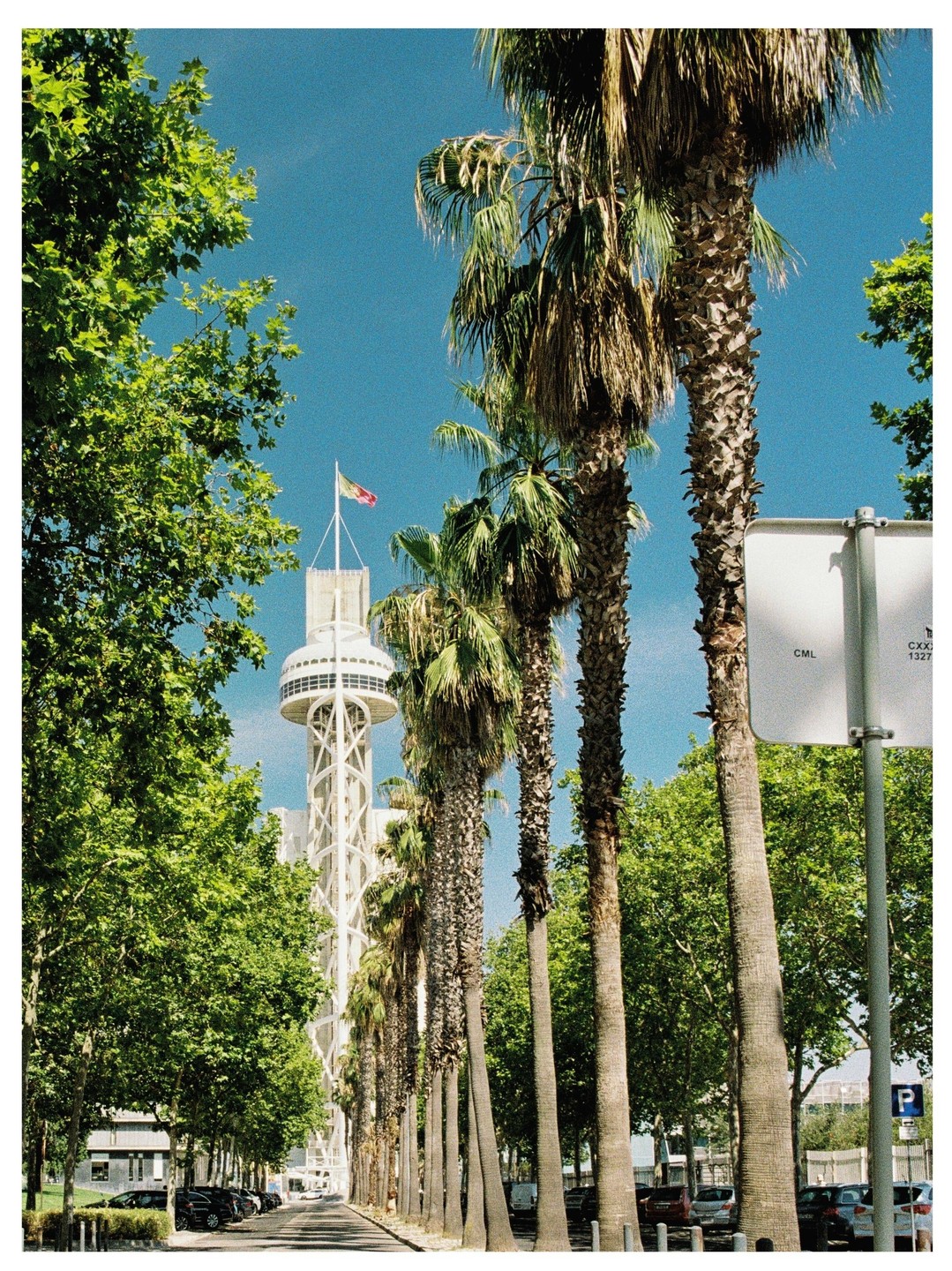 A tall white tower with a flag on top stands at the end of a street lined with palm trees and other green trees.
