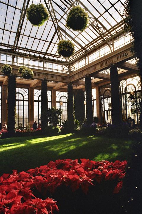 A large greenhouse with a glass ceiling contains a lawn, red flowers, and hanging plants.