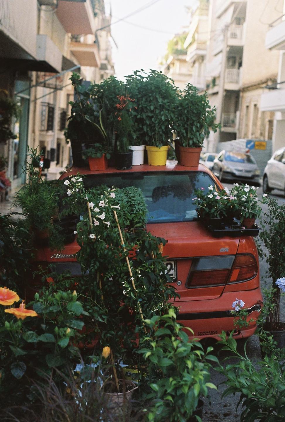 A red car is parked on a street and covered with many potted plants and flowers.