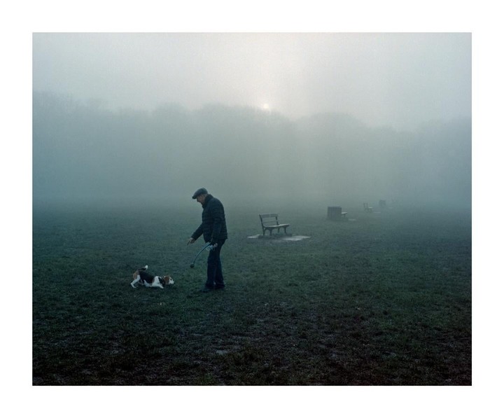 A man plays with a dog in a foggy park with benches in the background.