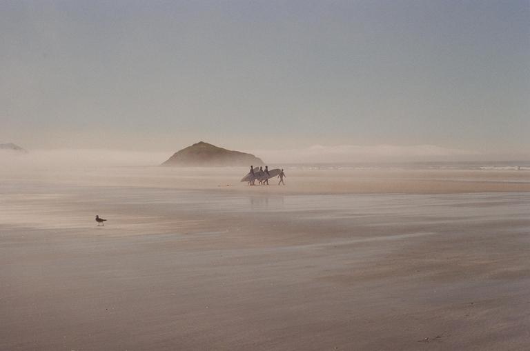 A group of surfers walk on a hazy beach with a seagull in the foreground and a small island in the background.