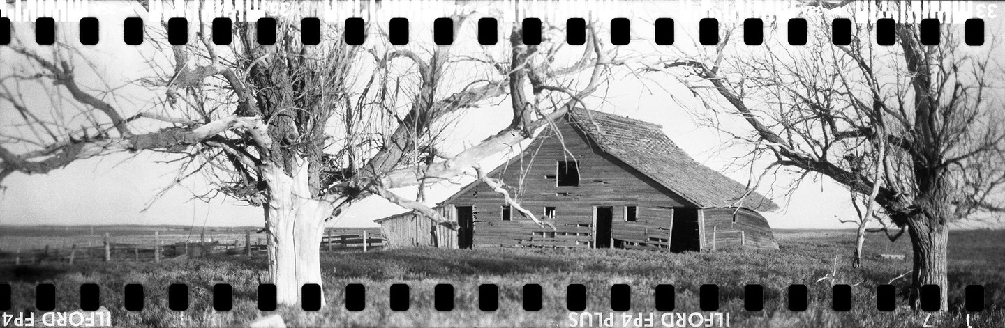 An old wooden barn stands in a field with two large, bare trees on either side, under a bright sky.