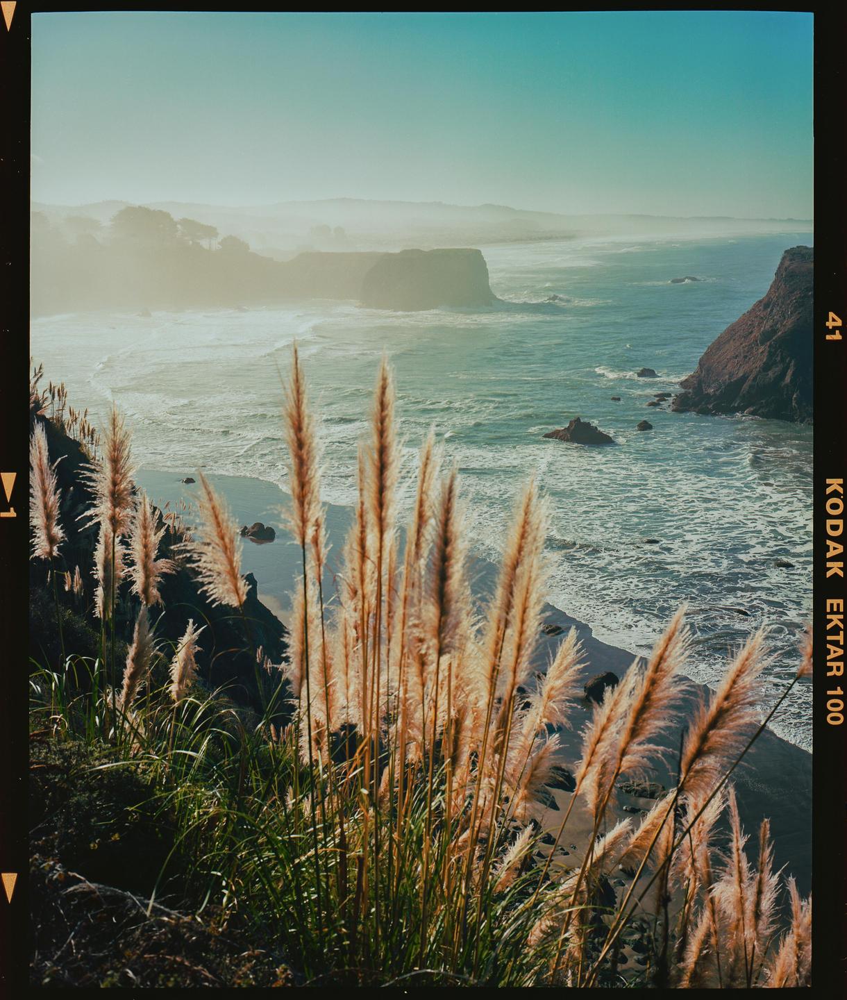 Tall grasses grow on a cliff overlooking a hazy ocean with rock formations.